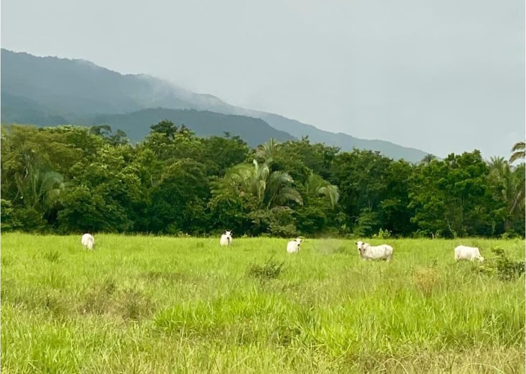 3.115 Hectares Municipio de Rosario Oeste MT