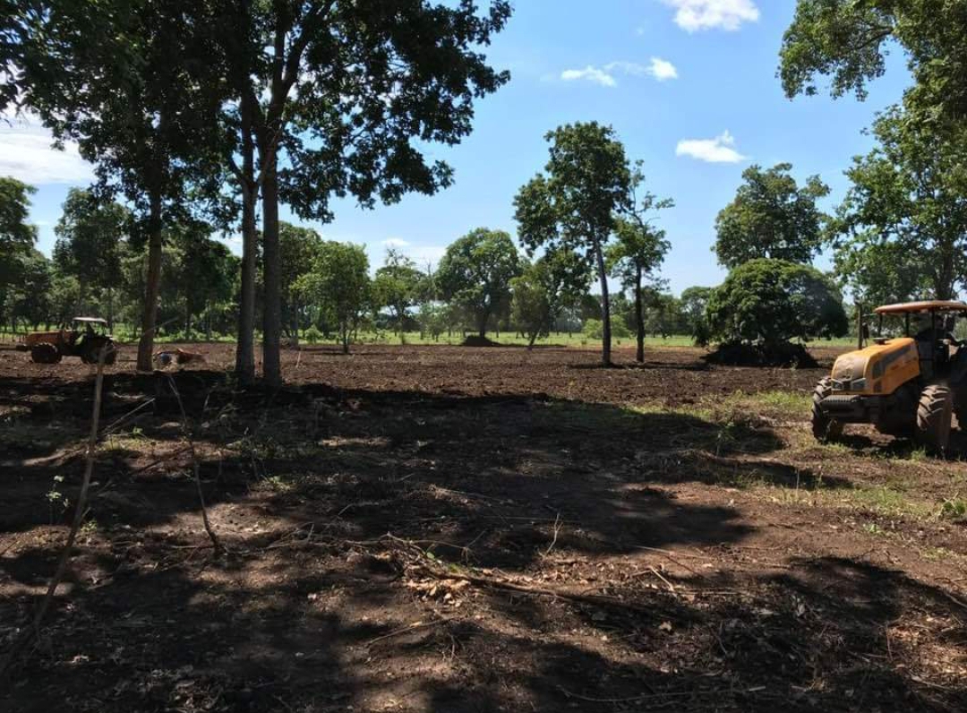Fazenda Município De Cáceres MT 1.334,435  Hectares equivalente a 551,419 alqueires,