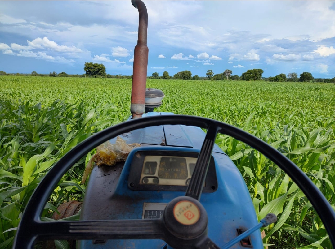 Fazenda 1.200 Hectares na Região de Jangada MT