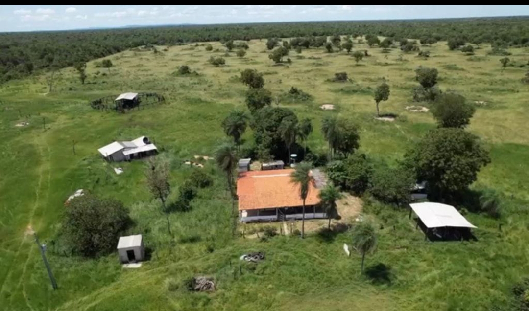 Fazenda 2.400 Hectares Mimoso MT