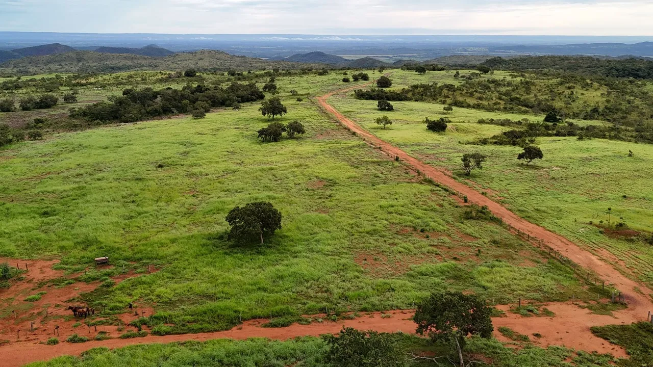 Fazenda 1.500 Hectares Acorizal MT