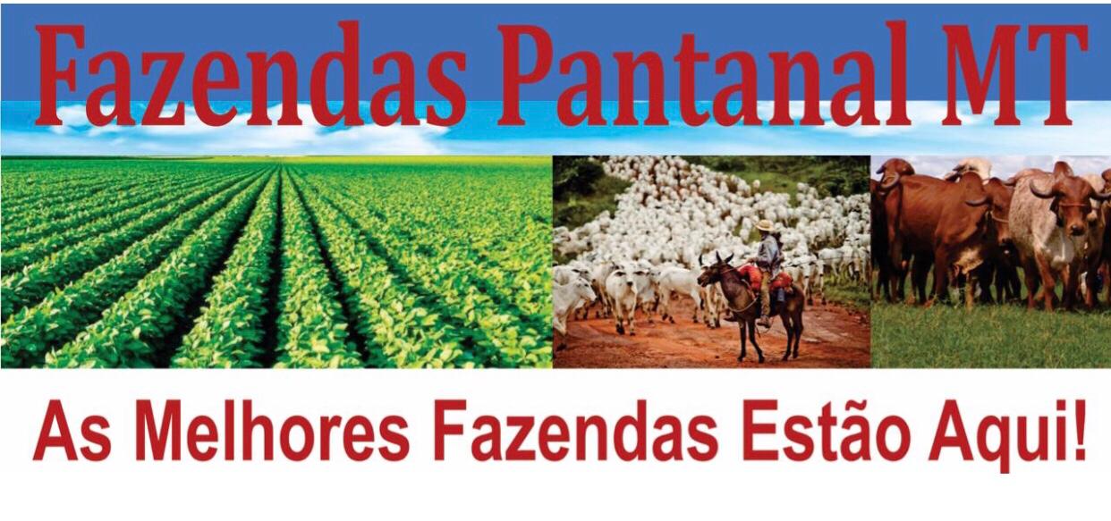 Fazendas Pantanal MT - Venda - Compra e  Arrendamentos