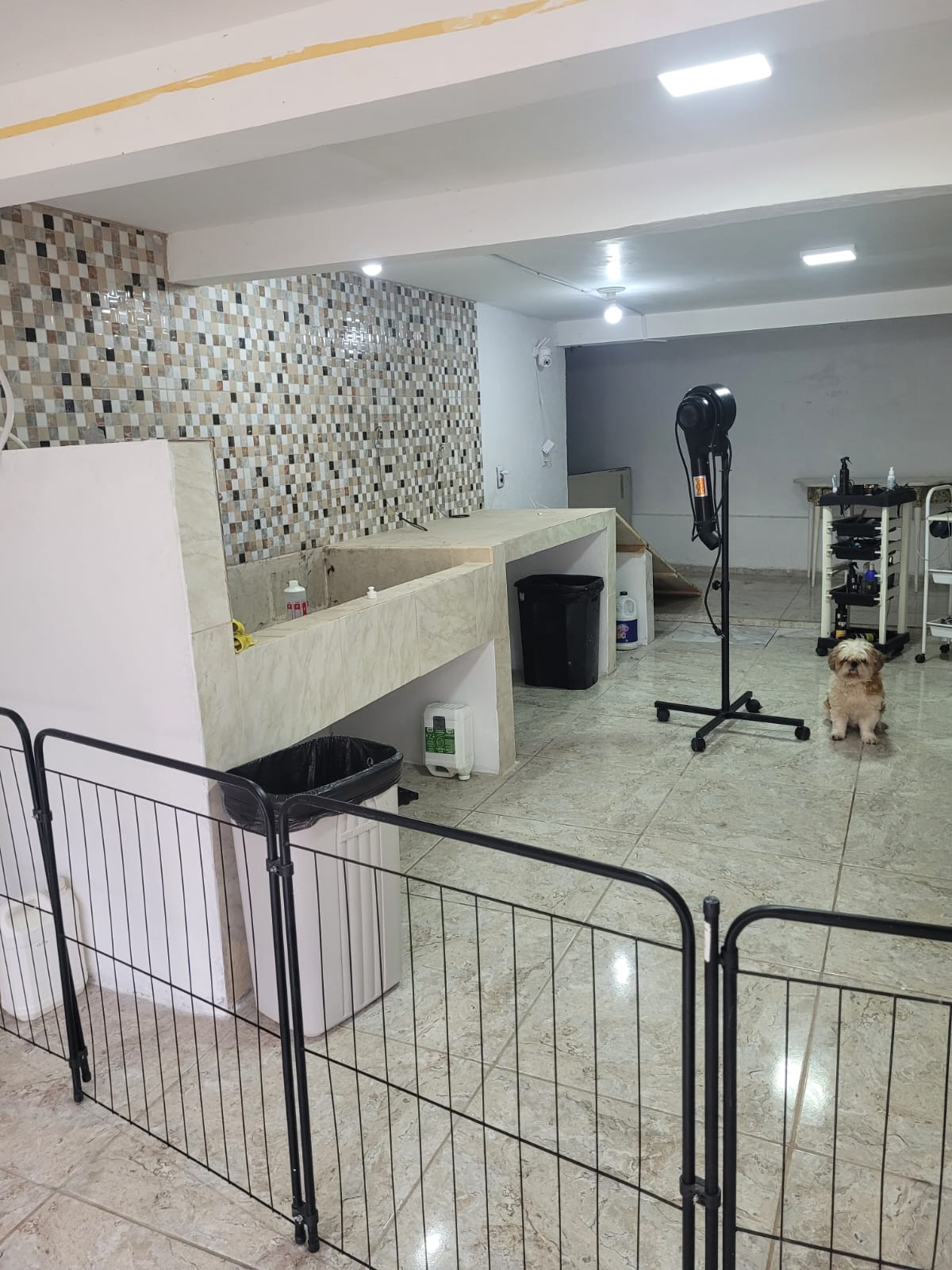 oportunidade única casa a venda