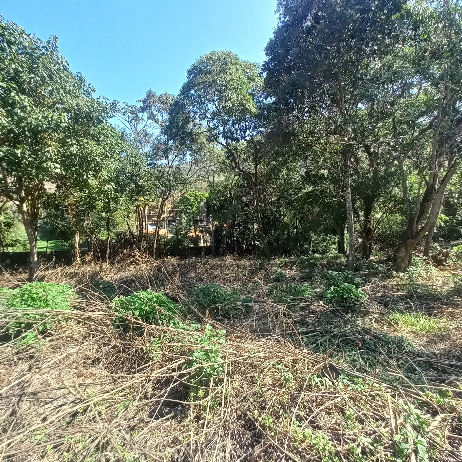 Terreno - Venda, Jardim Boa Vista, São Roque, SP