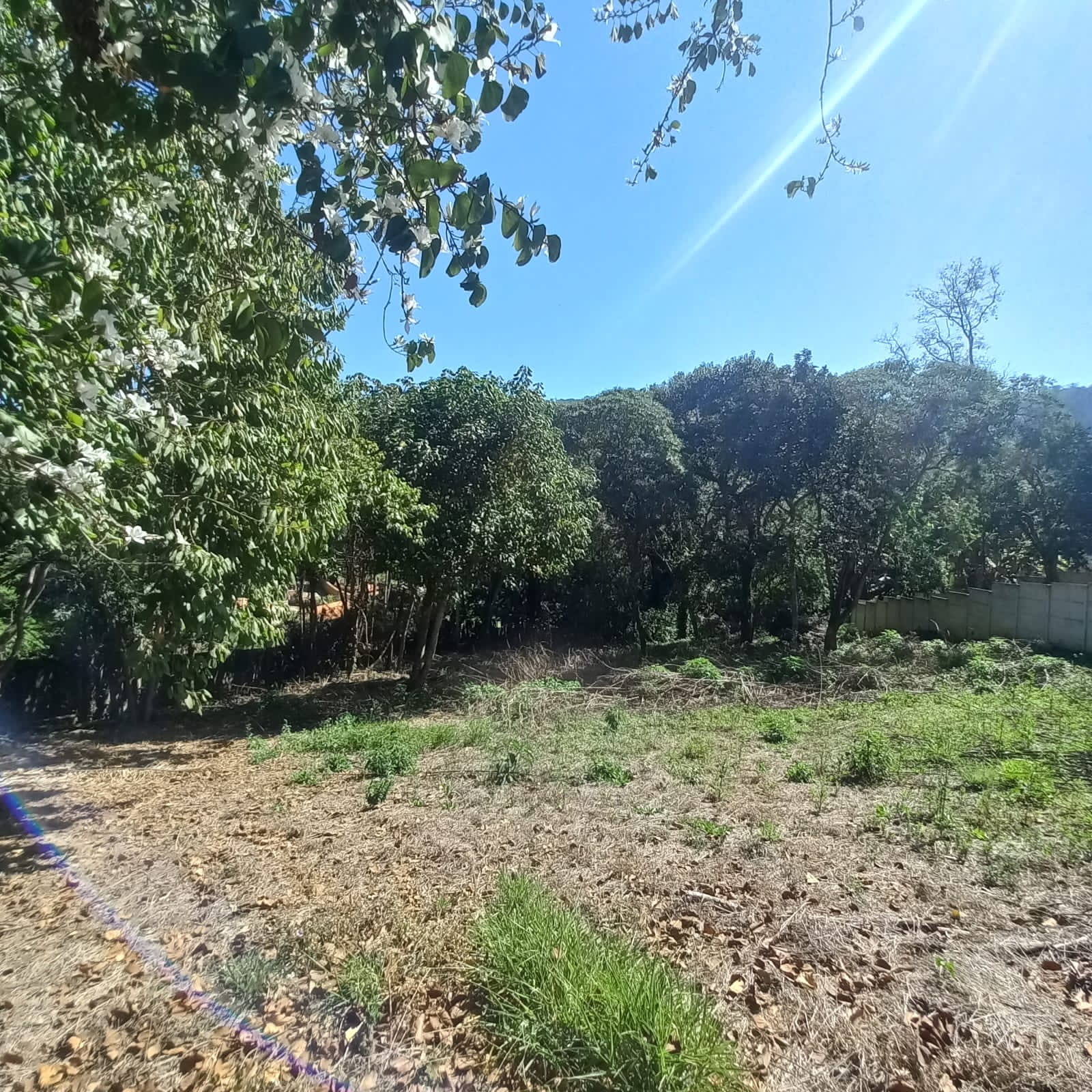 Privilegiado Terreno 