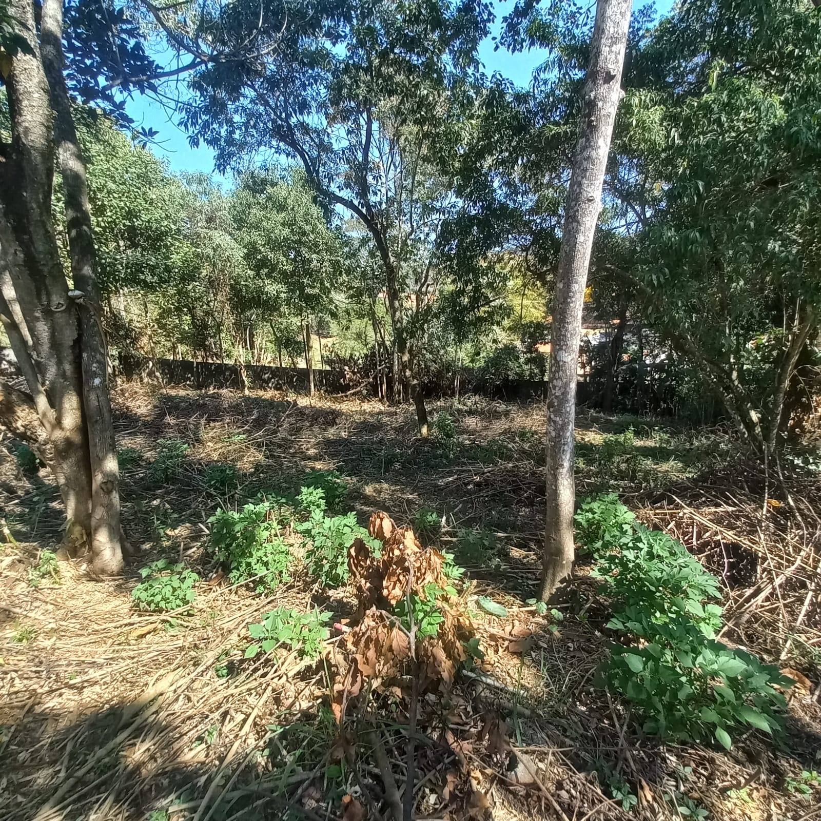 Privilegiado Terreno 