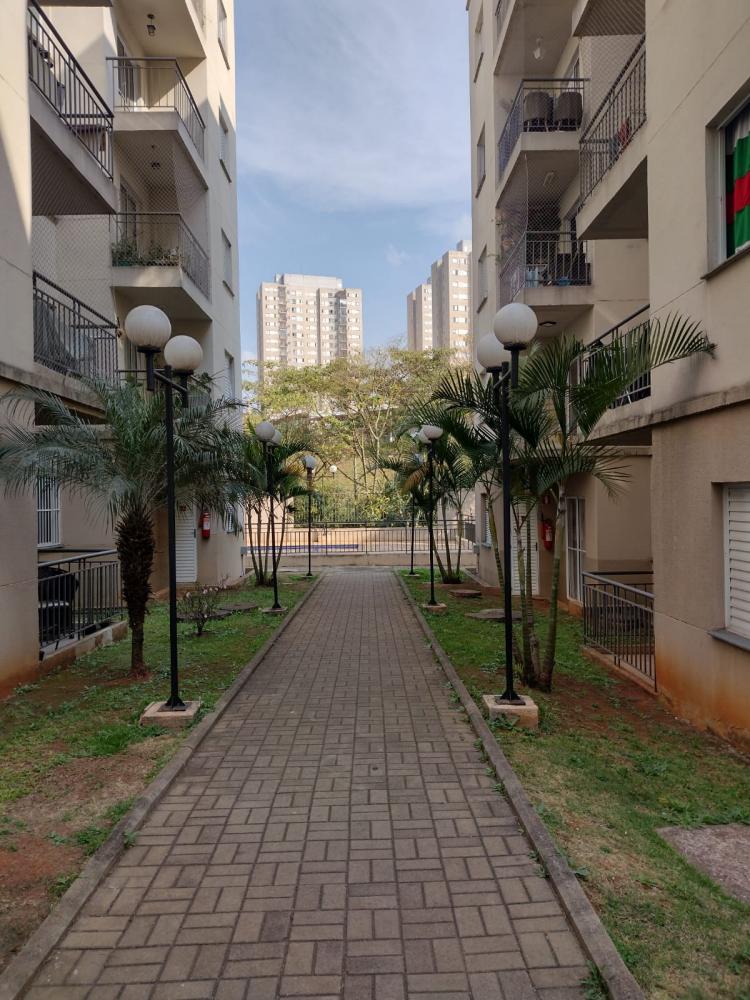 Apartamento - Locação, Novo Osasco, Osasco, SP