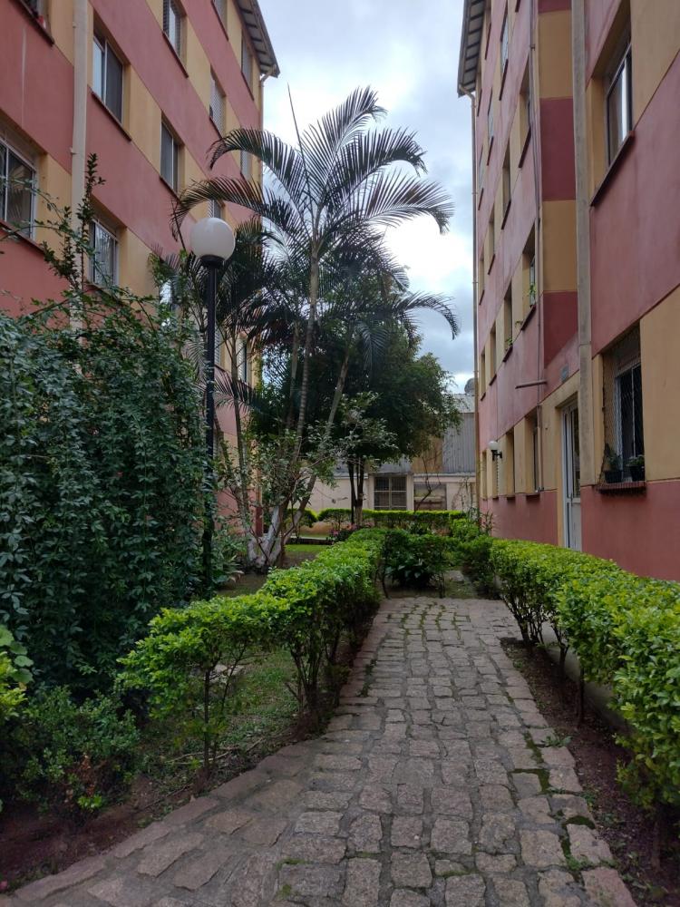 Apartamento - Venda, Conceição, Osasco, SP