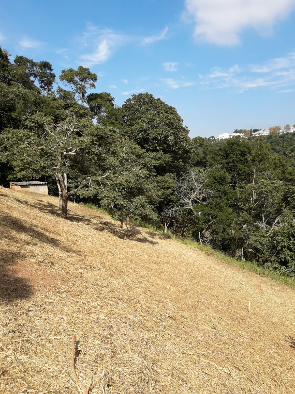 Área em Santana de Parnaíba 