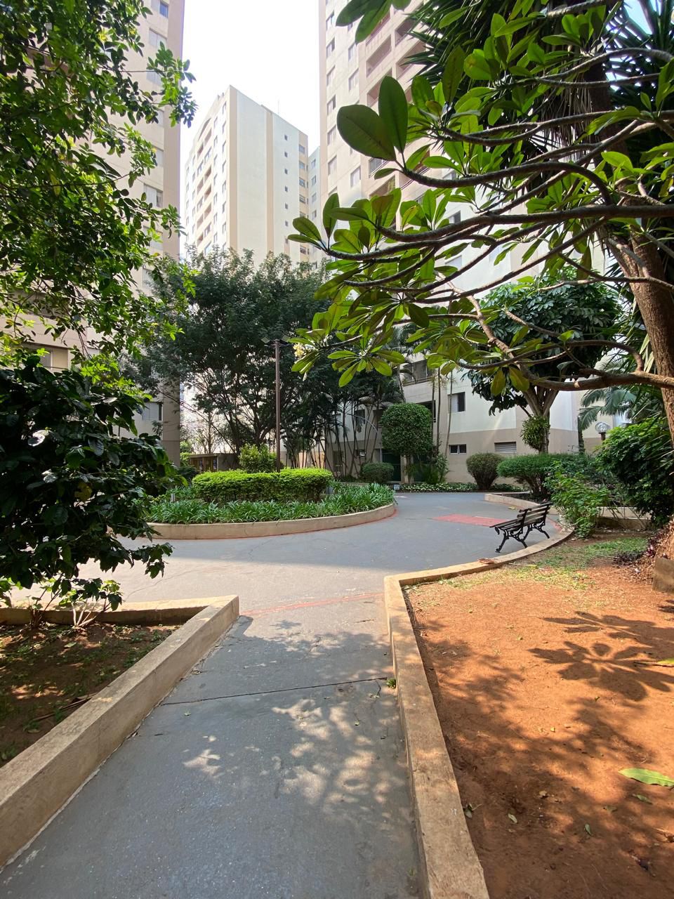 Apartamento à Venda - Condomínio Parque das Acácias - Continental