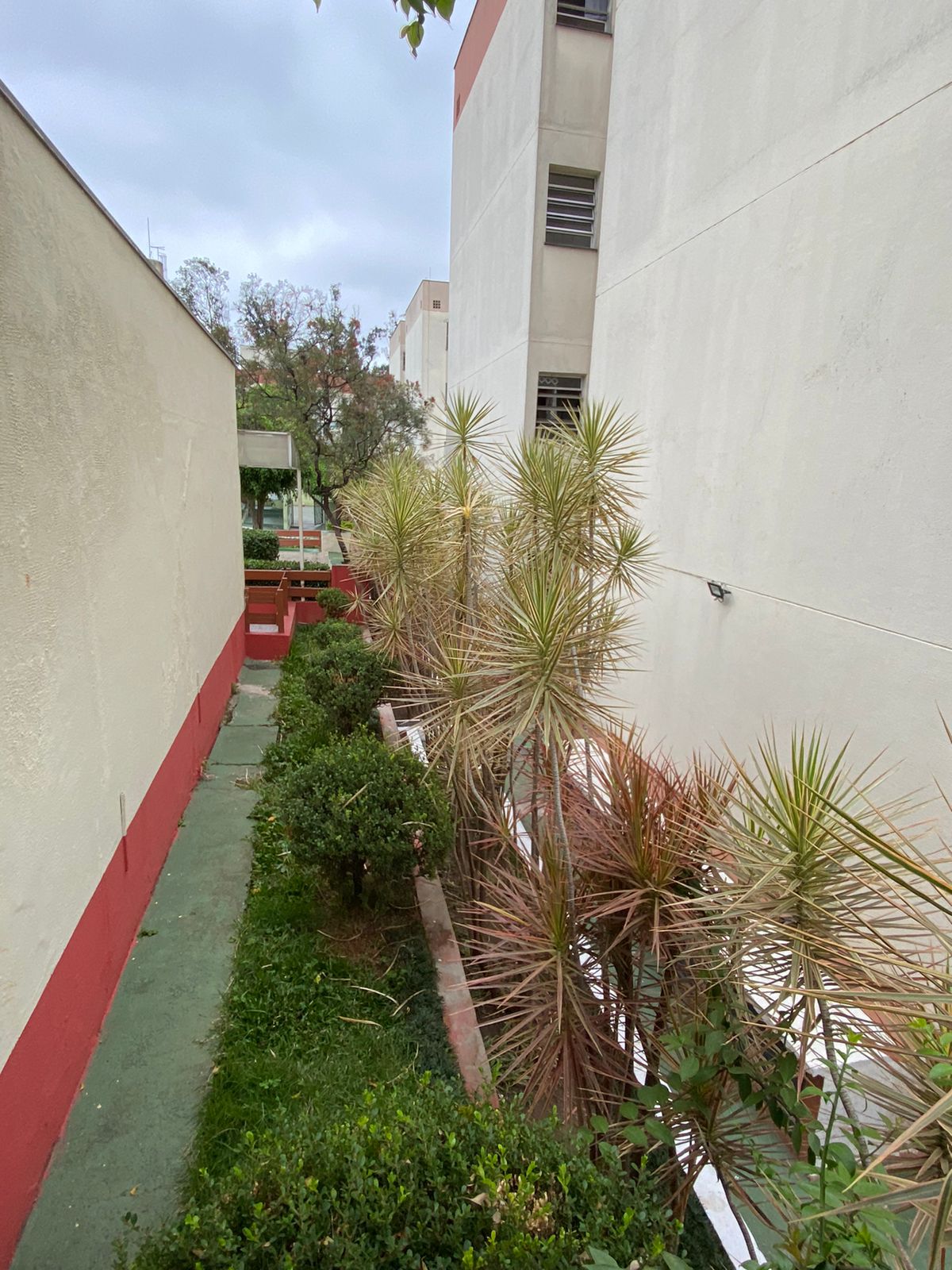 Apartamento Condomínio Residencial Ilha do Sol  - Jd Abril