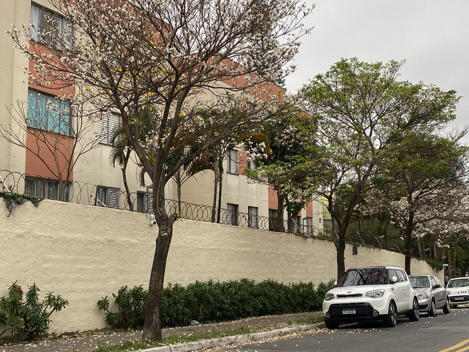 Apartamento Condomínio Residencial Ilha do Sol  - Jd Abril