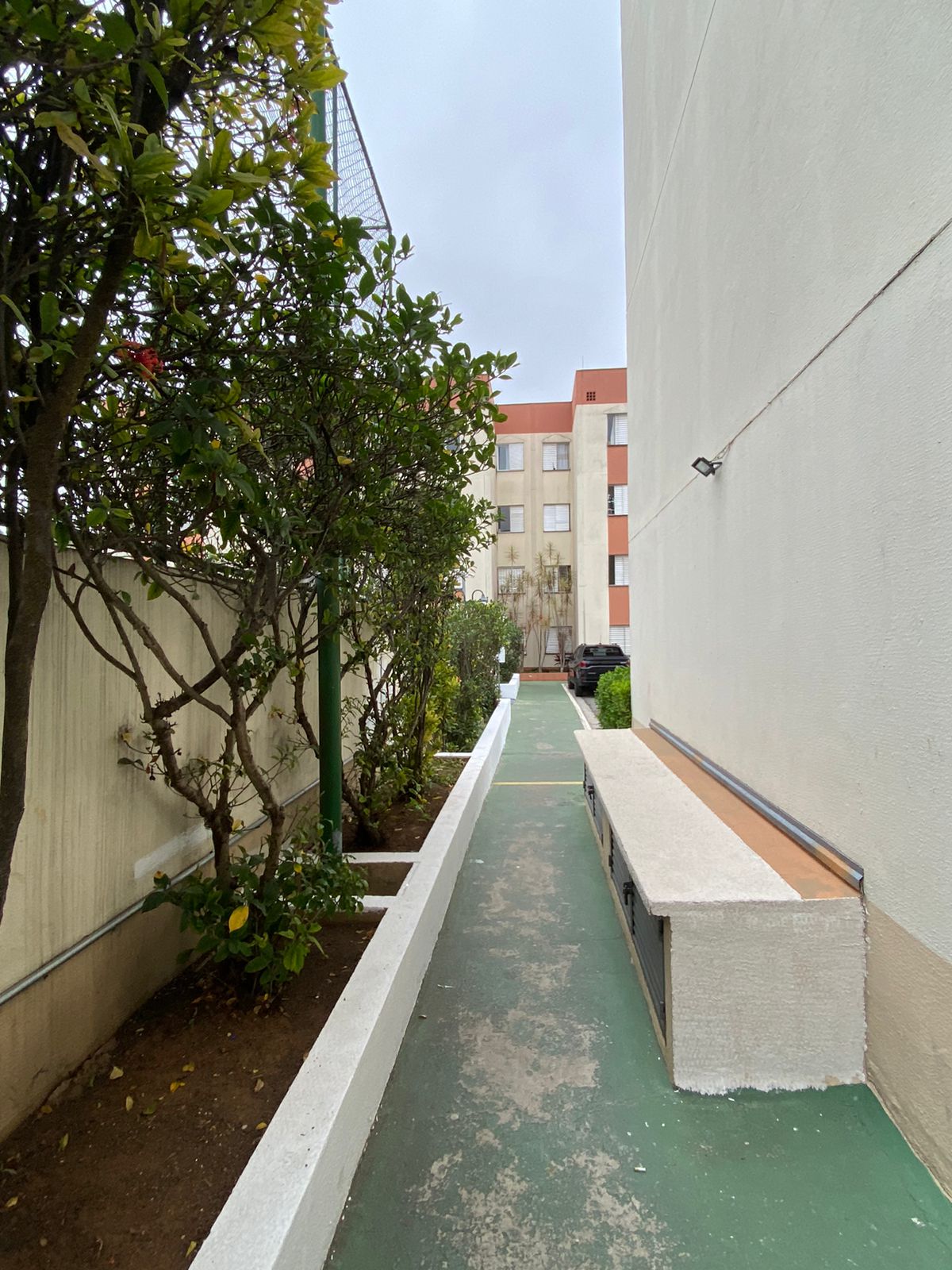 Apartamento Condomínio Residencial Ilha do Sol  - Jd Abril