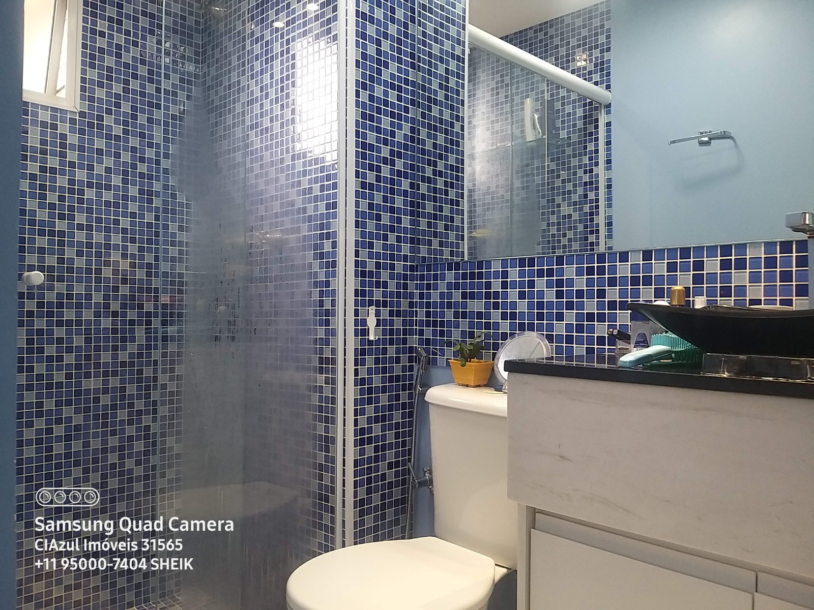 Apartamento para locação/ Jardim Amaralina - Butantã/SP