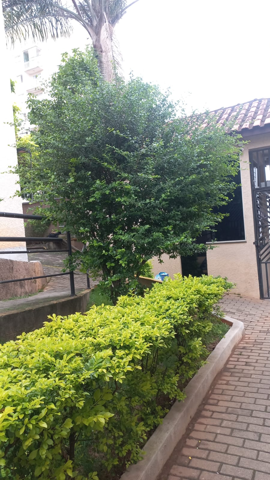 Locação Apartamento Recanto das Violetas I - Santa Maria/Osasco