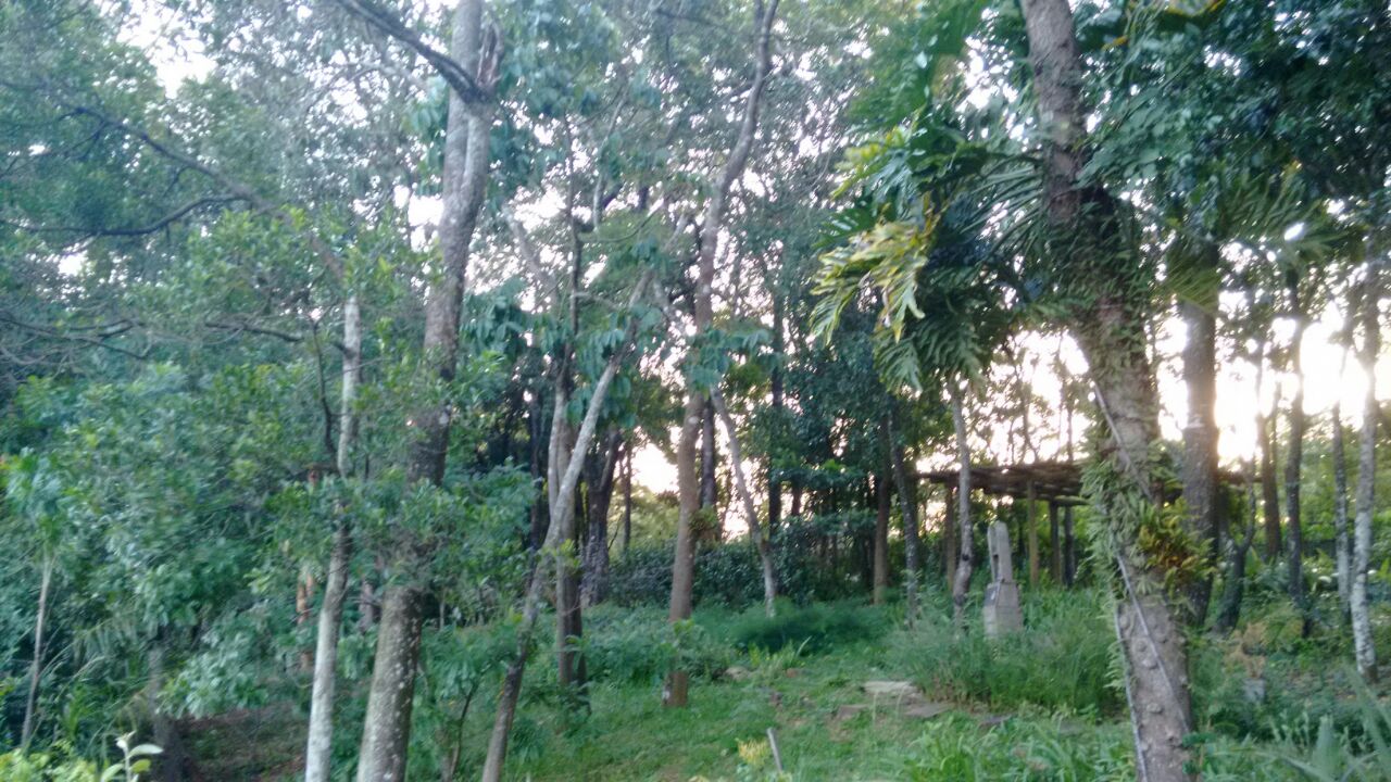 Bela casa no condomínio Parque dos Manacás em Jundiaí SP