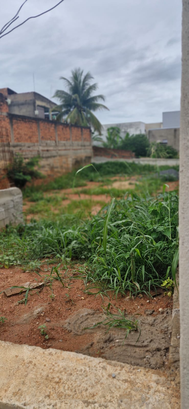 Lote Jardim Pérola