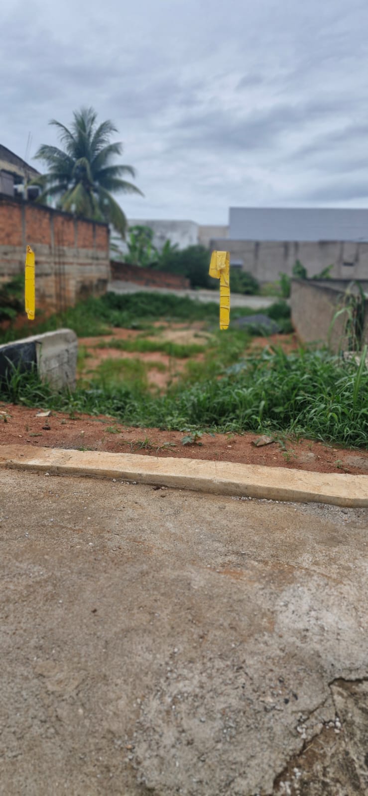 Lote Jardim Pérola