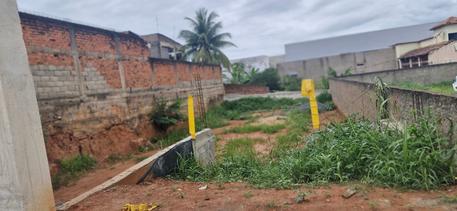 Lote Jardim Pérola