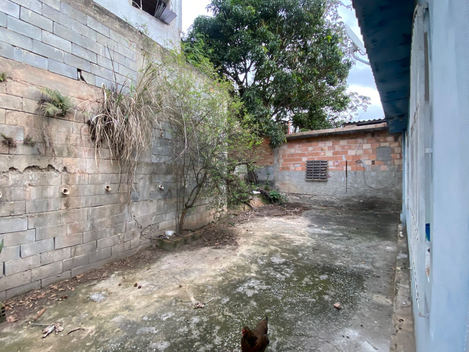Vende-se esta casa com tres quartos, no bairro Goiânia, Belo Horizonte-MG
