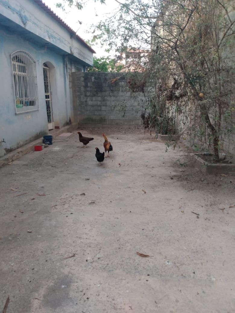 Vende-se esta casa com tres quartos, no bairro Goiânia, Belo Horizonte-MG
