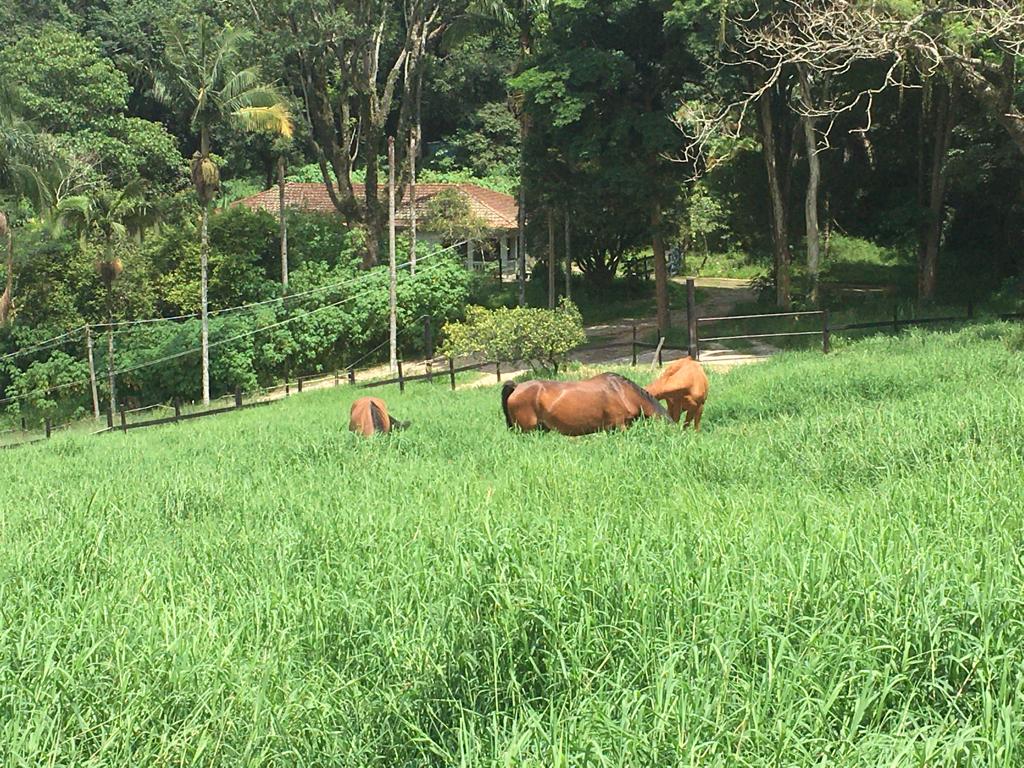 Confortável Haras a venda em São Roque  