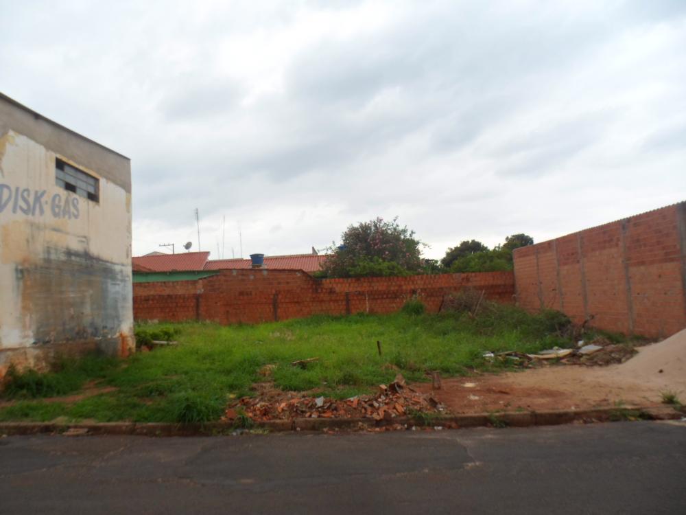Terreno - Venda, BARRA FUNDA, Paraguaçu Paulista, SP