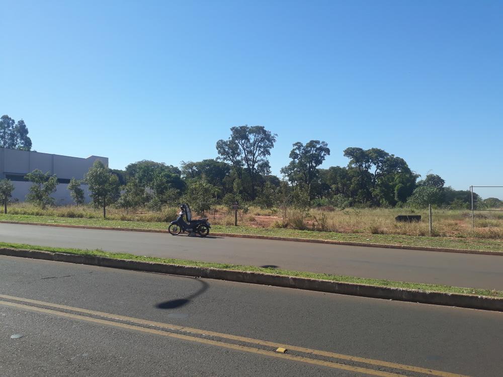 Lote - Venda, Paraguaçu Paulista, SP