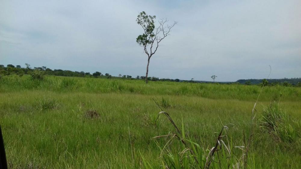 Rural - Venda, Paraguaçu Paulista, SP