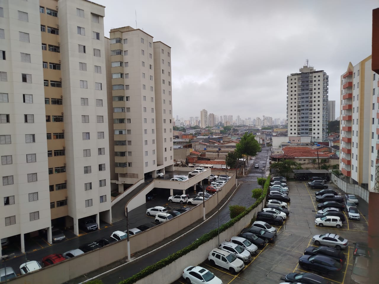 Apartamento - Venda, Vila Matilde, São Paulo, SP