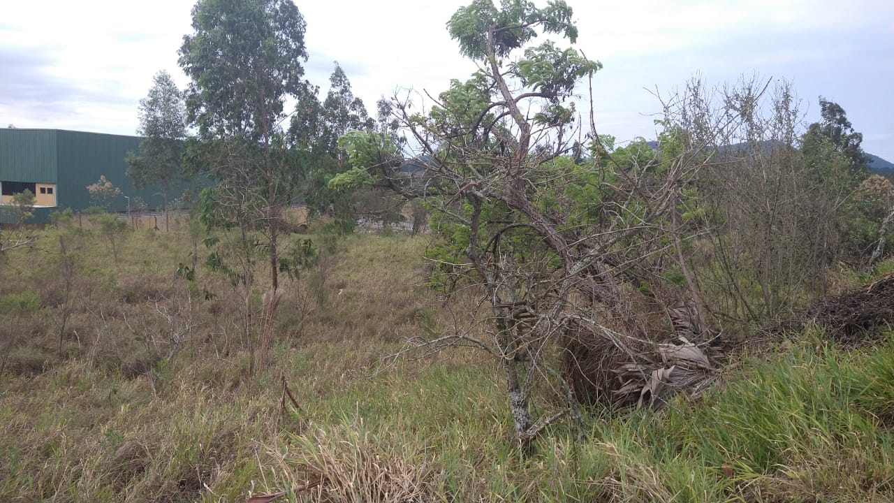 Área Industrial/Comercial para venda em Pouso Alegre - MG