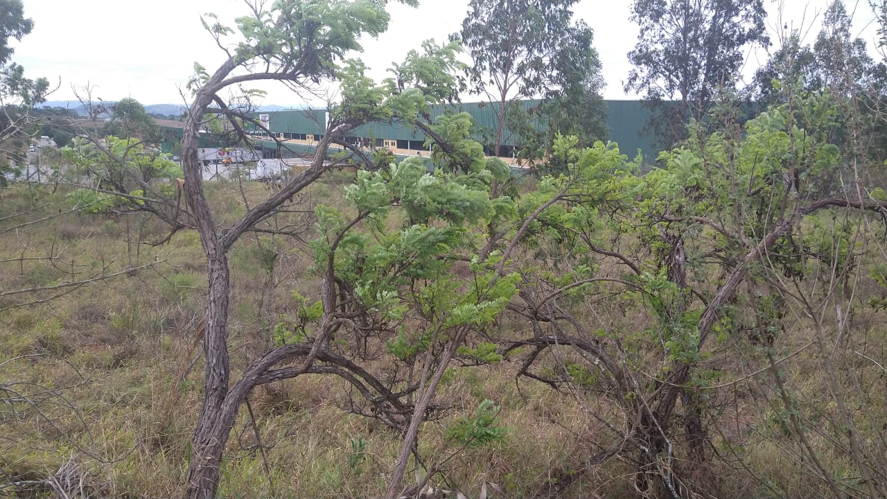 Área Industrial/Comercial para venda em Pouso Alegre - MG