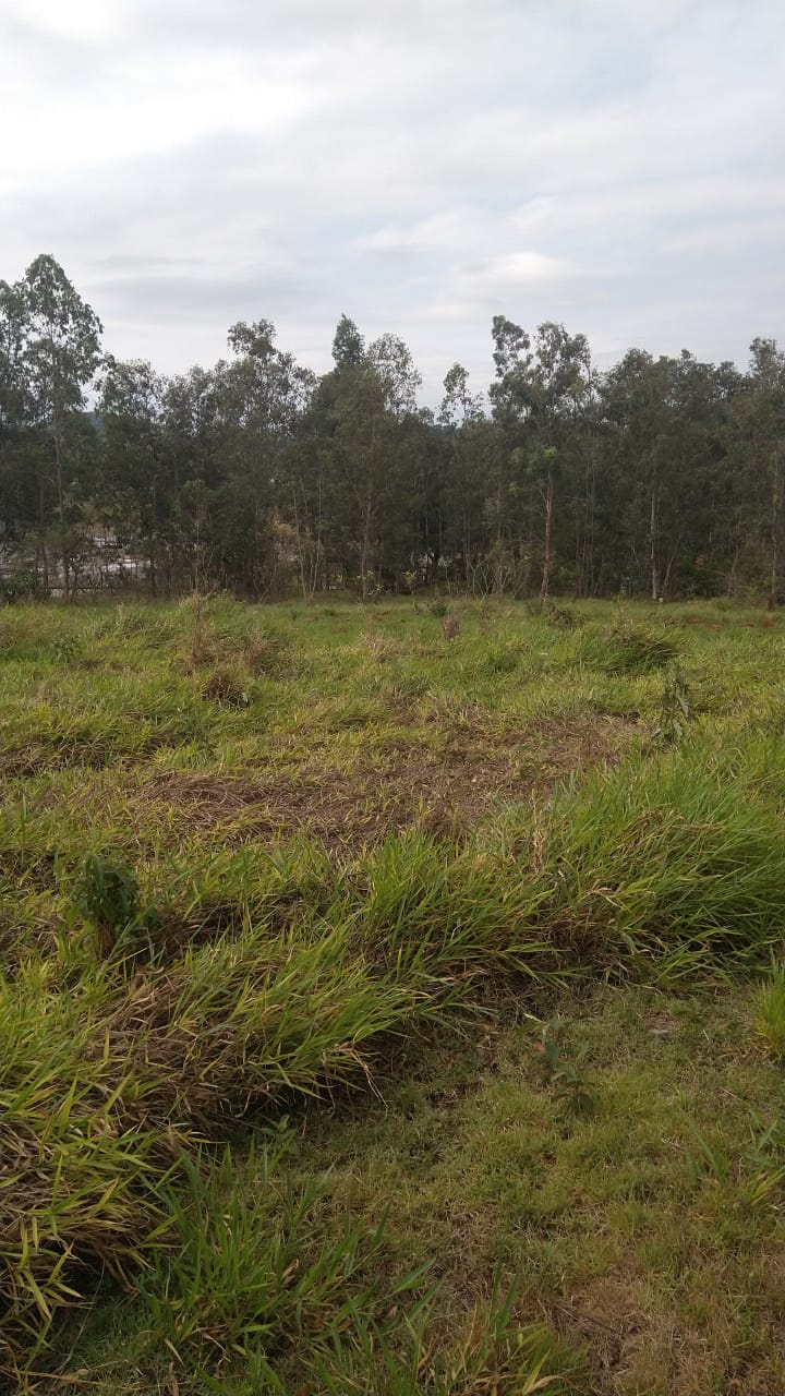 Área Industrial/Comercial para venda em Pouso Alegre - MG