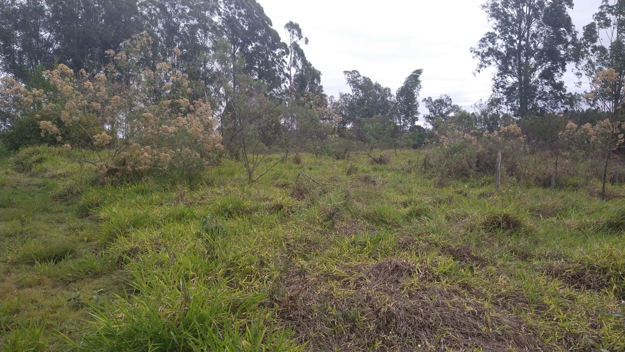 Área Industrial/Comercial para venda em Pouso Alegre - MG