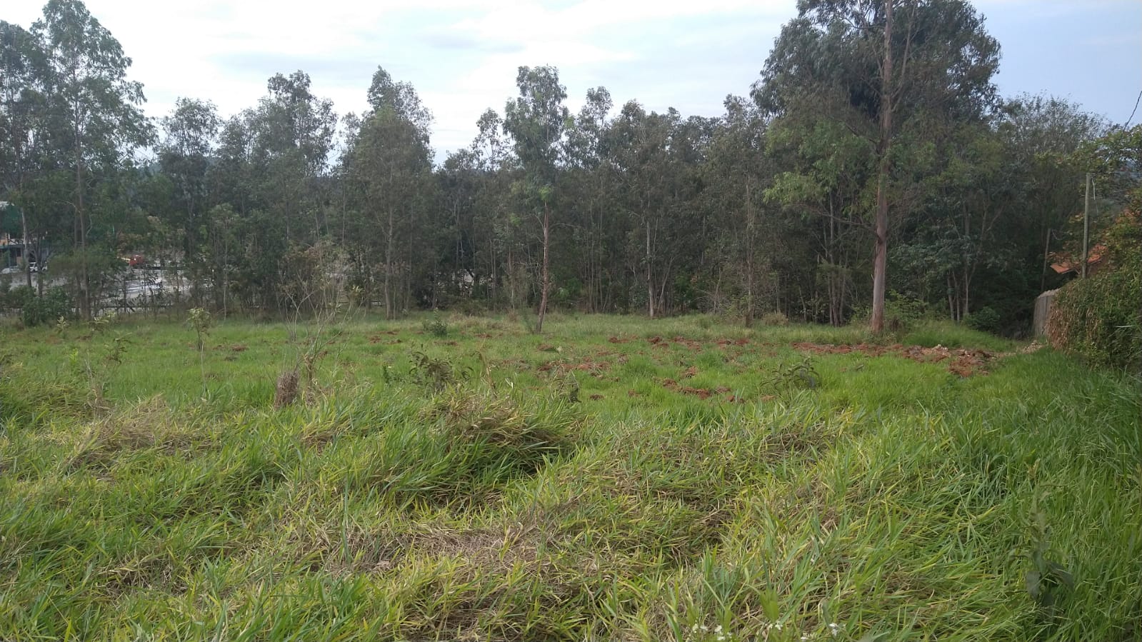 Área Industrial/Comercial para venda em Pouso Alegre - MG