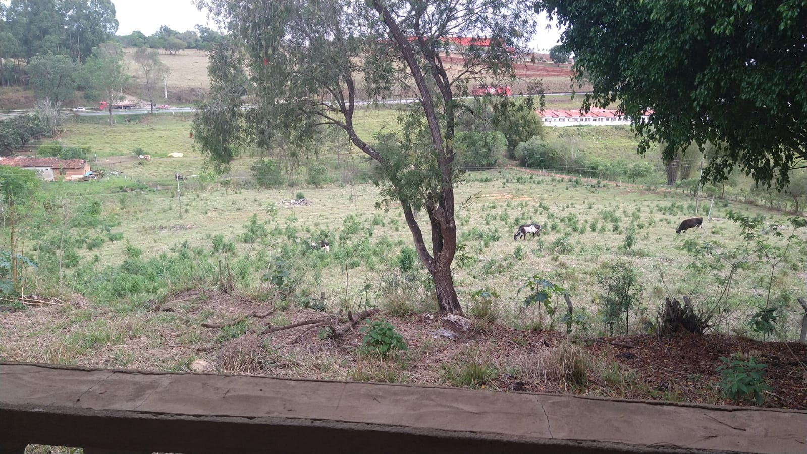 Área Industrial em zoneamento ZEP em Pouso Alegre - MG