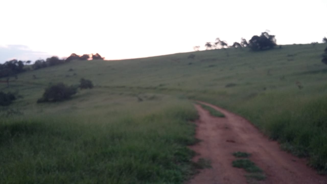 Área Industrial em Zoneamento (ZEP) para venda em Pouso Alegre - MG.