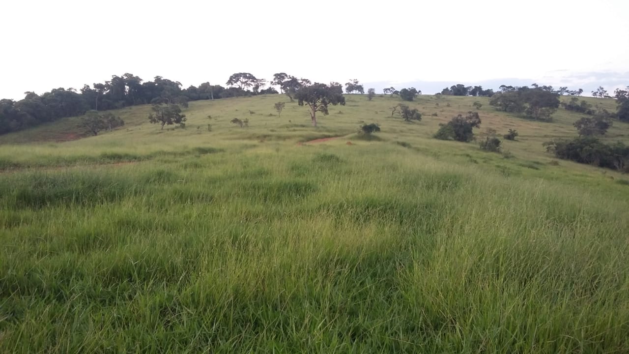 Área Industrial em Zoneamento (ZEP) para venda em Pouso Alegre - MG.
