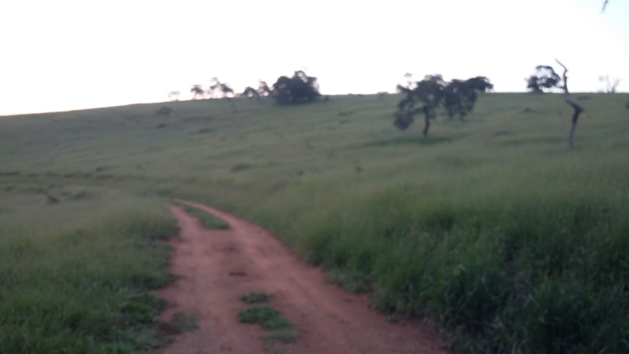 Área Industrial em Zoneamento (ZEP) para venda em Pouso Alegre - MG.