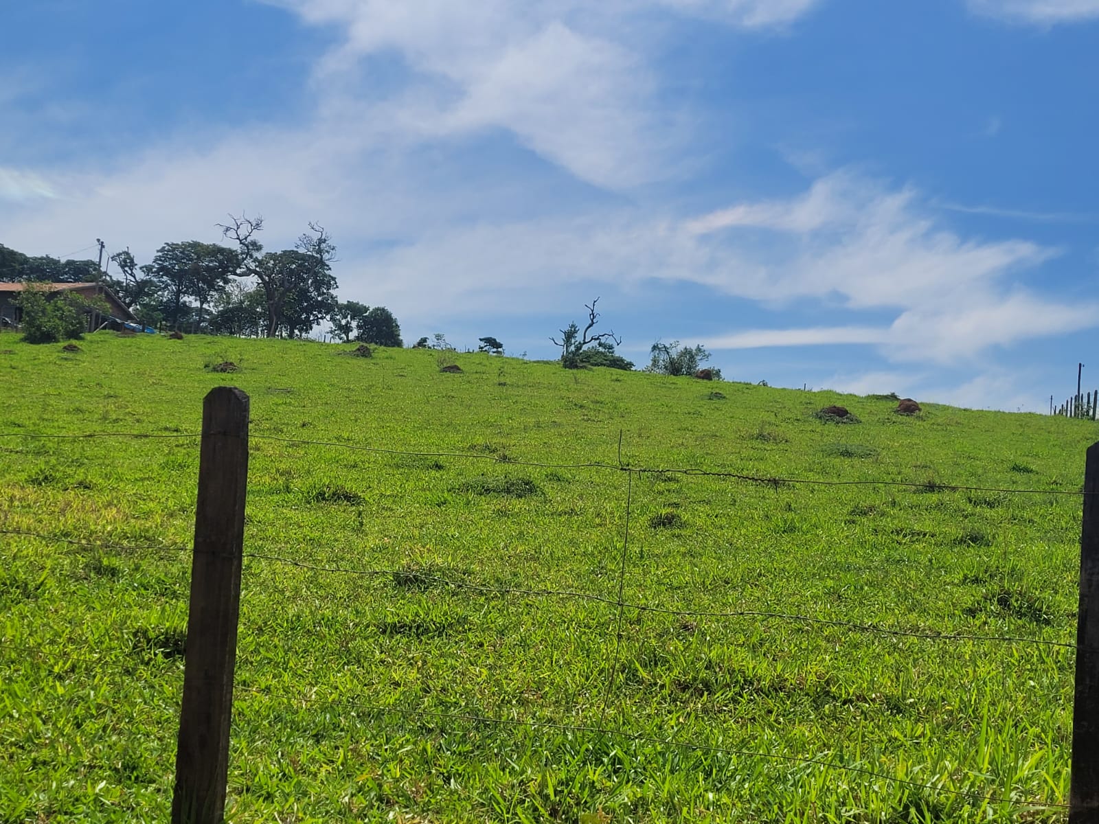 Terreno para venda no bairro dos Farias em Pouso Alegre - MG.