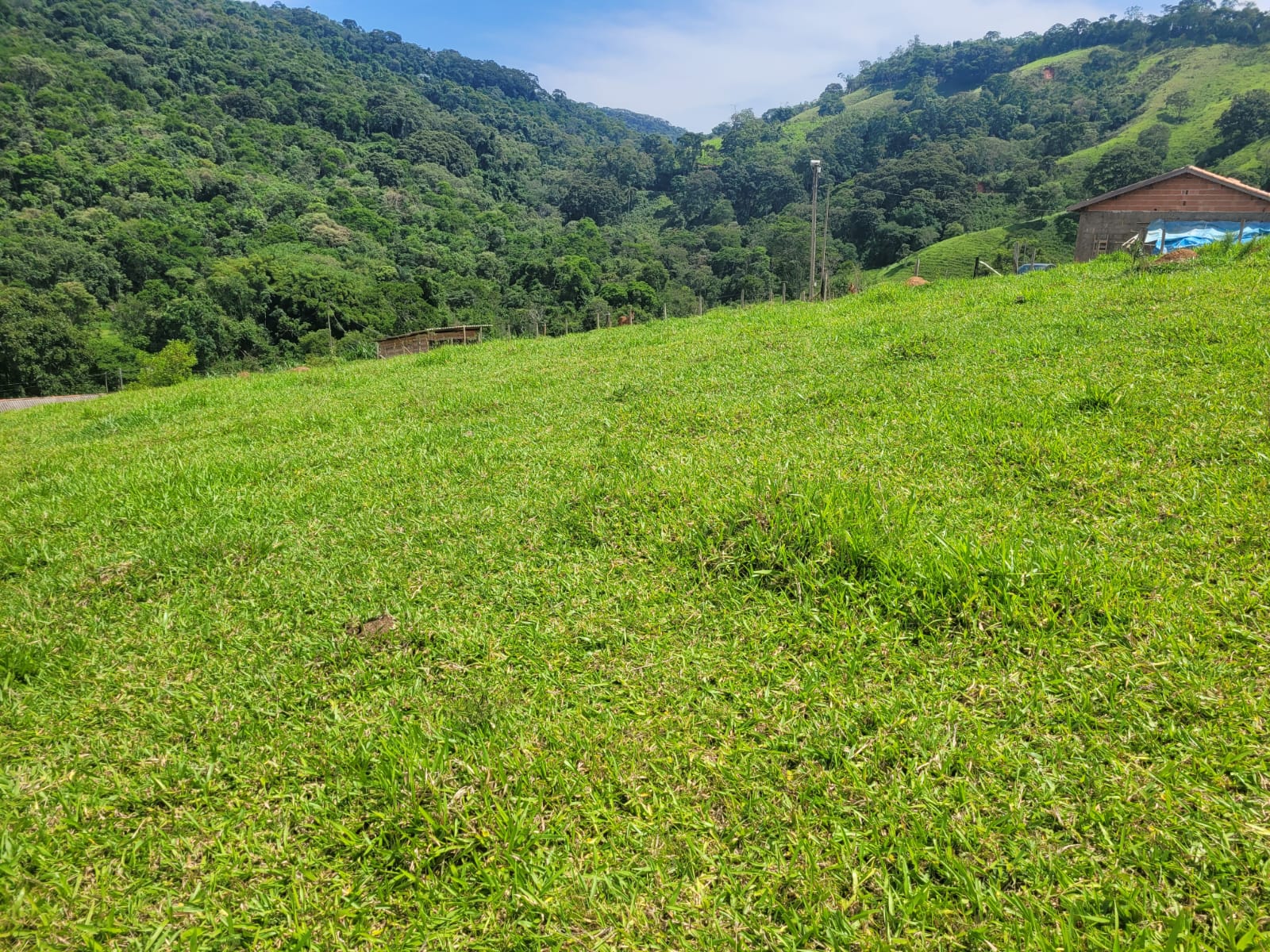 Terreno para venda no bairro dos Farias em Pouso Alegre - MG.