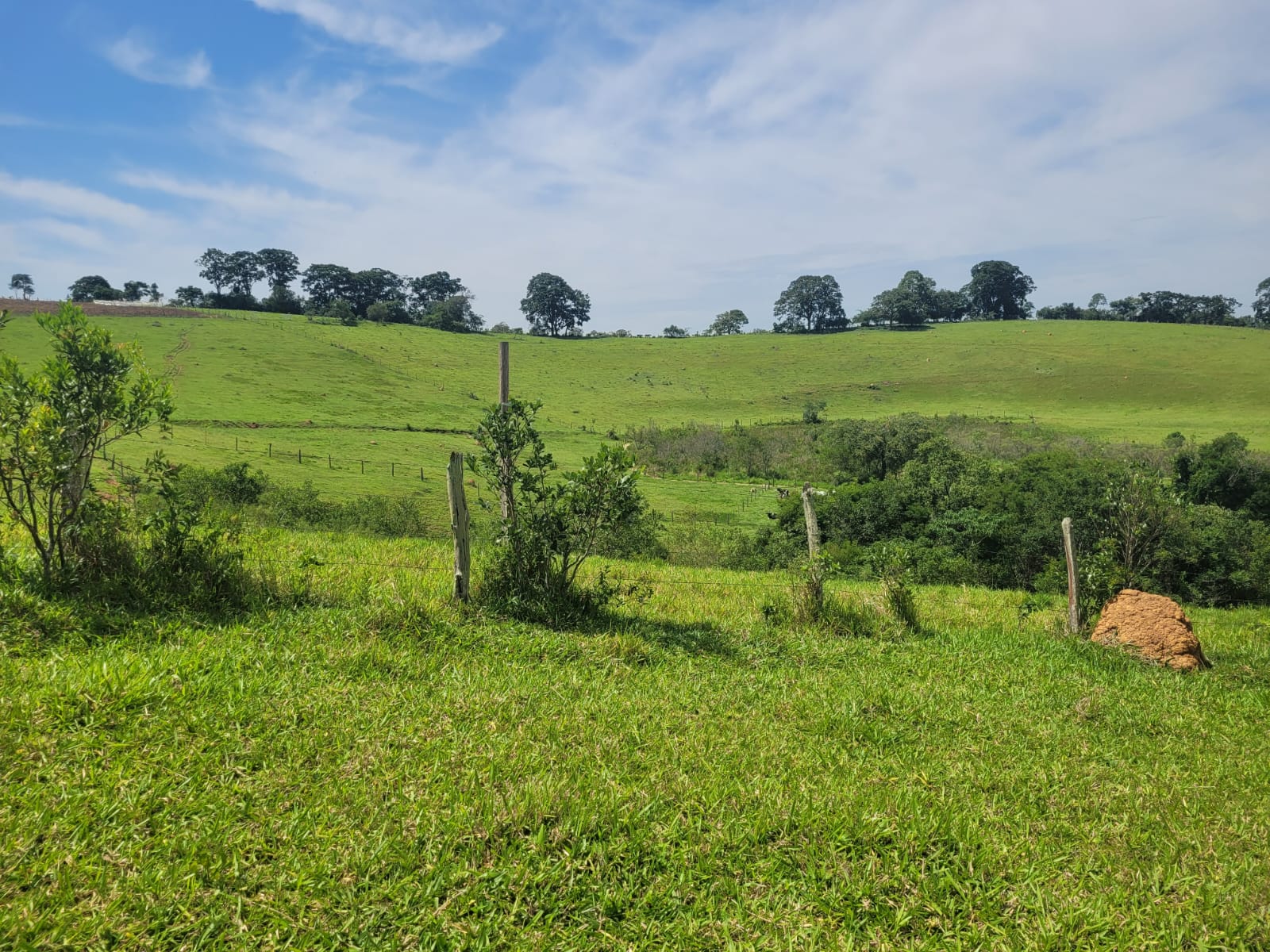 Terreno para venda no bairro dos Farias em Pouso Alegre - MG.
