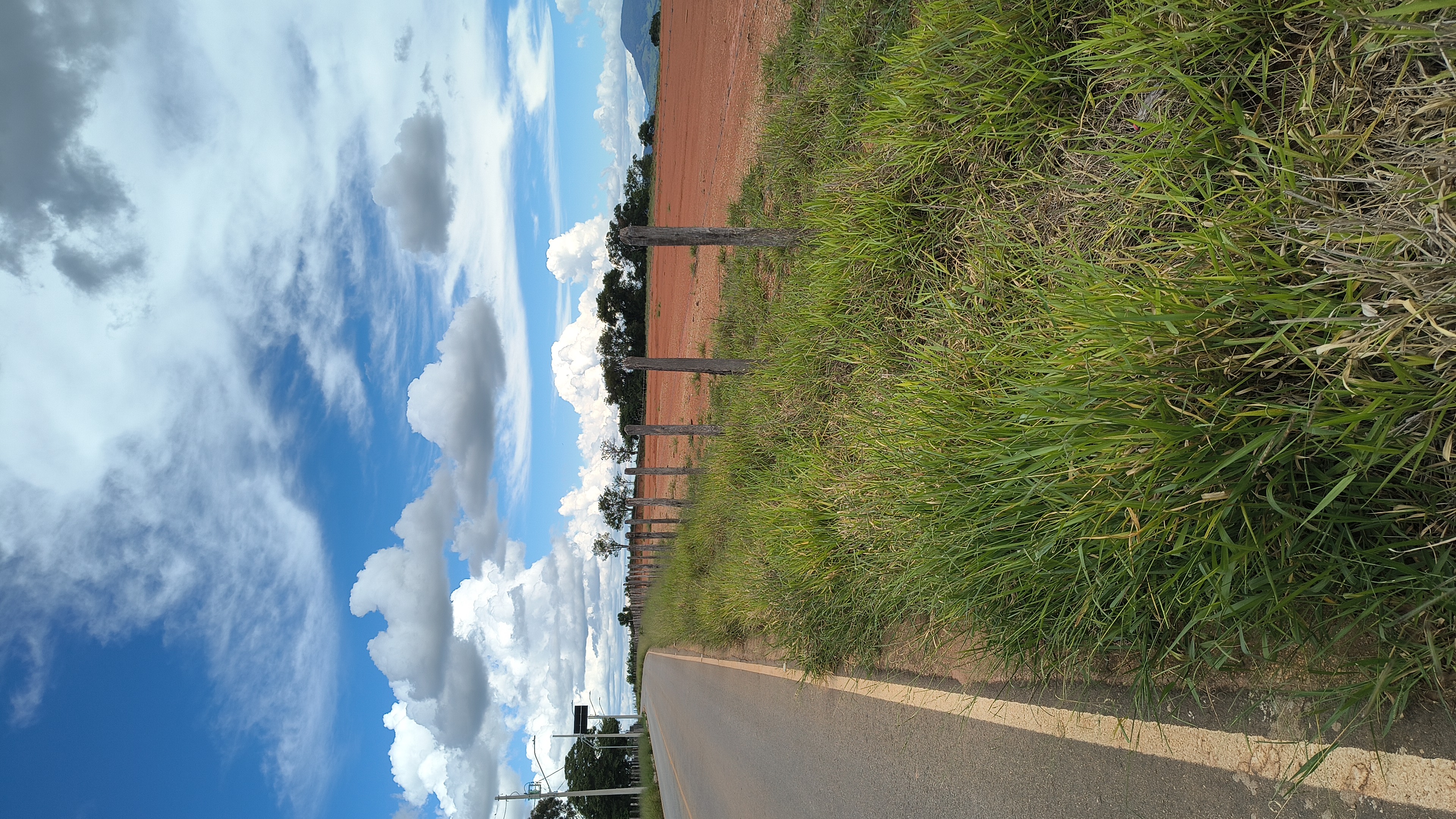 Área industrial - Venda
