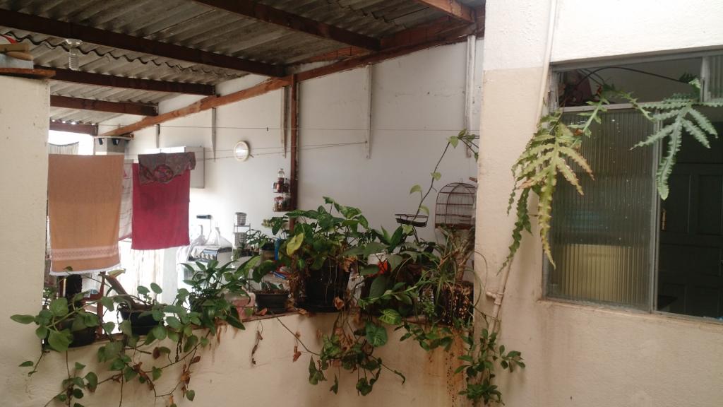 Duas casas para venda no bairro Santa Luzia em Pouso Alegre - MG.