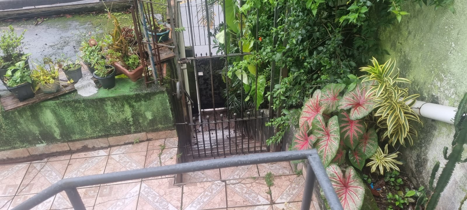 JD. SANTO ANDRE