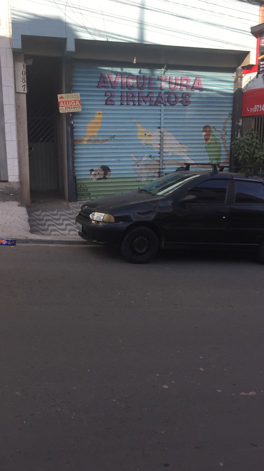 Salão - Locação, JD. RODOLFO PIRANI, SÃO PAULO, SP