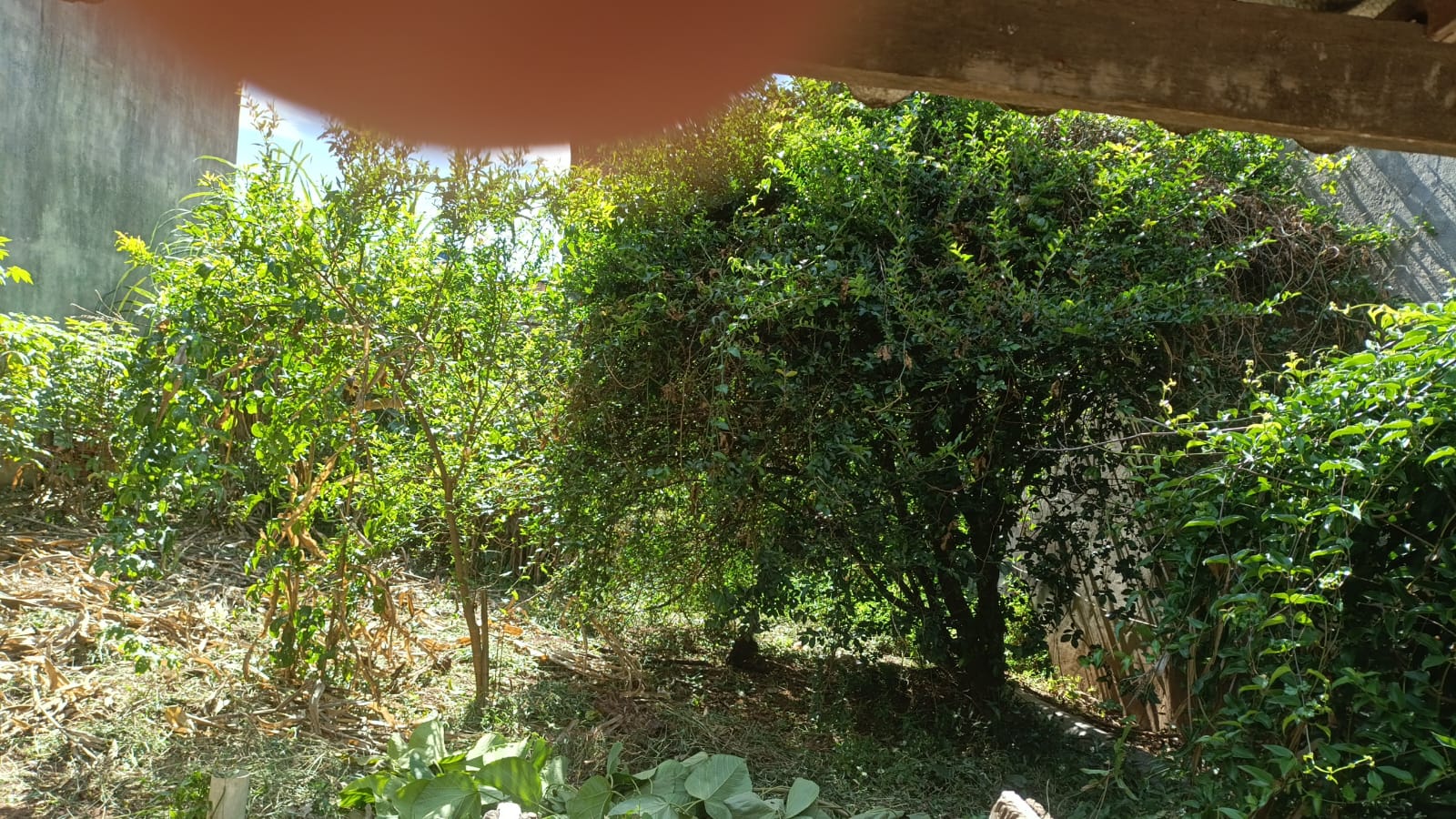 JD. VILA CARRAO