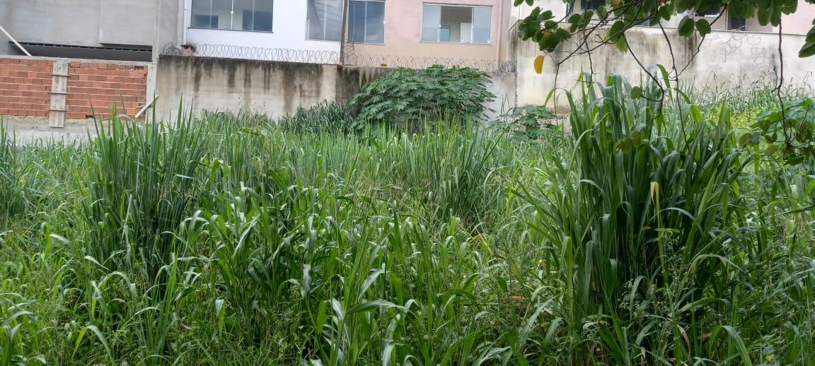 Lote - Cidade Nova em Governador Valadares
