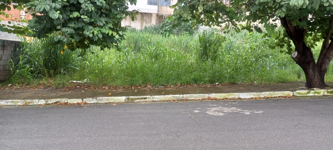 Lote - Cidade Nova em Governador Valadares