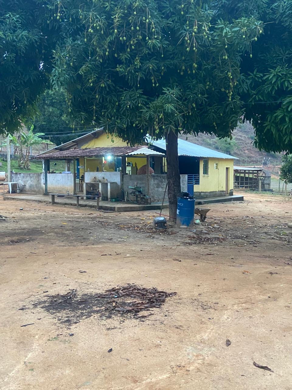 Sítio - Venda, Córrego dos Borges, Governador Valadares, MG